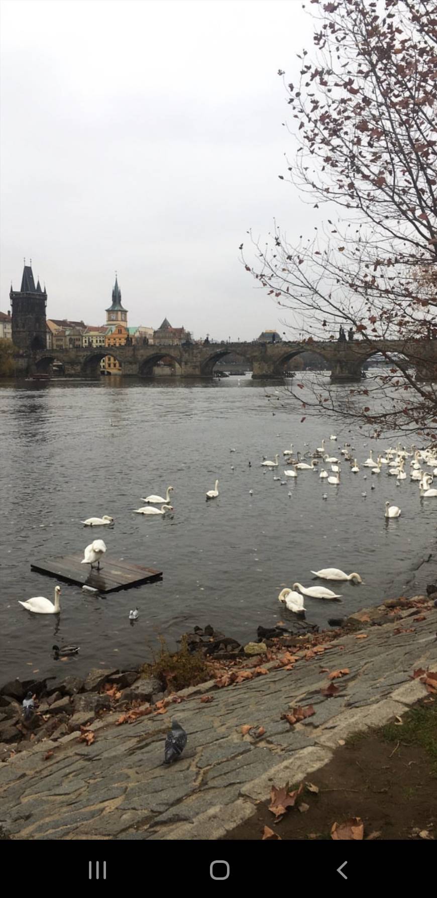 Place Praga