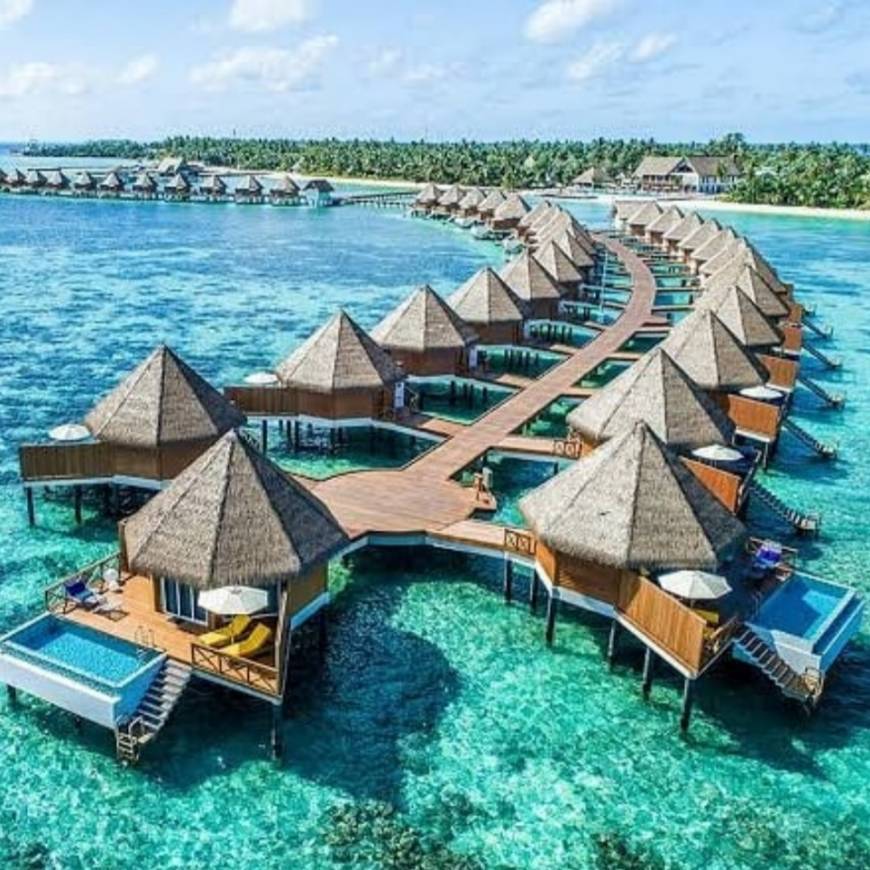 Place Maldive Islands