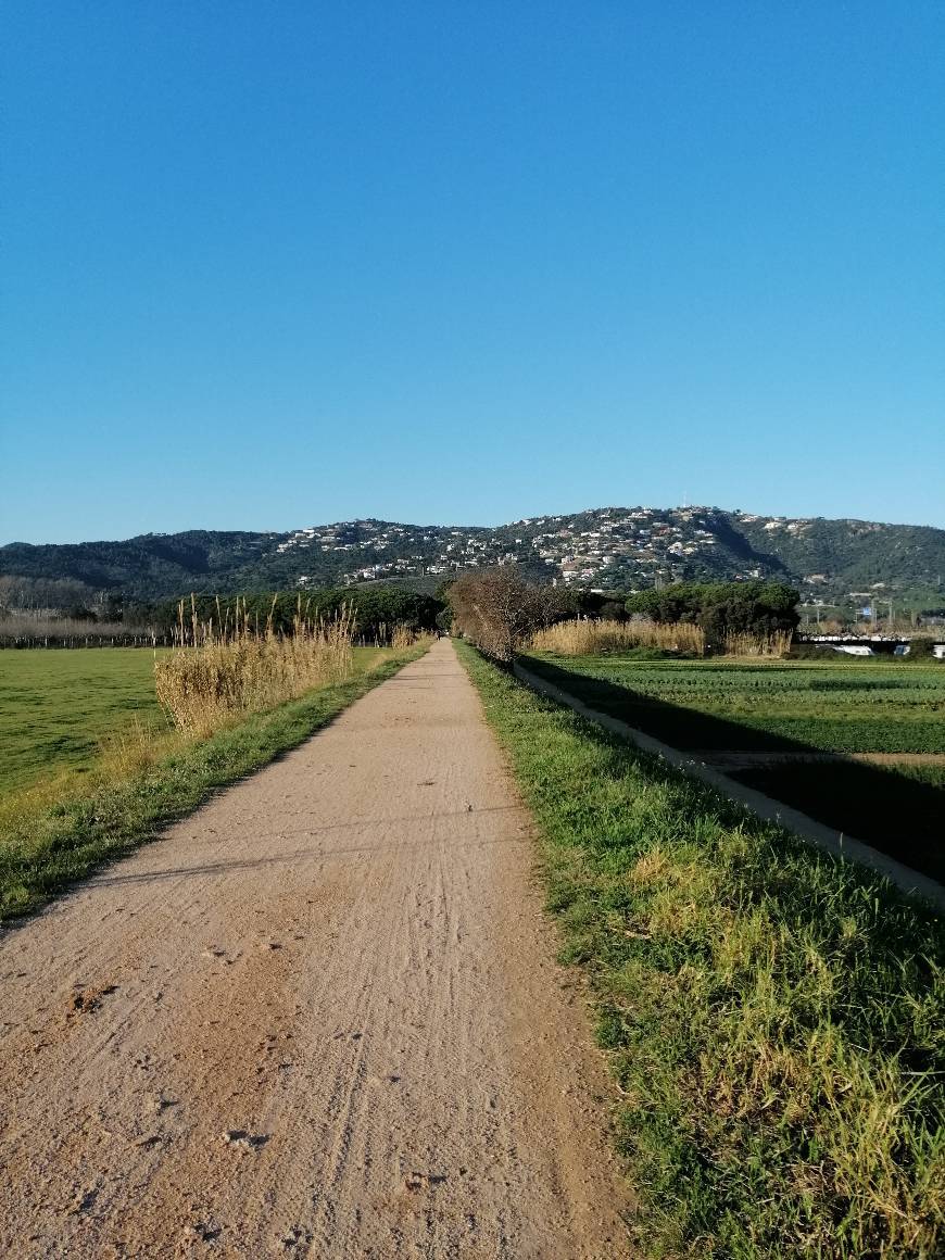 Lugar Camí de Ronda de S'Agaró a Sa Conca