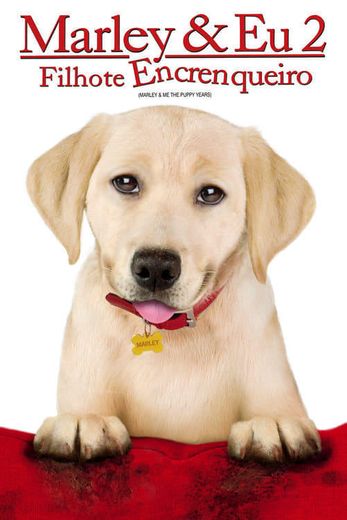 Marley & Me: The Puppy Years