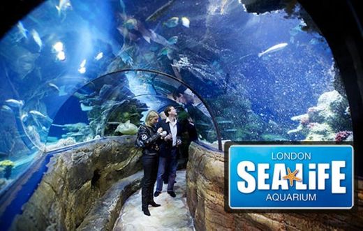 SEA LIFE Centre London Aquarium