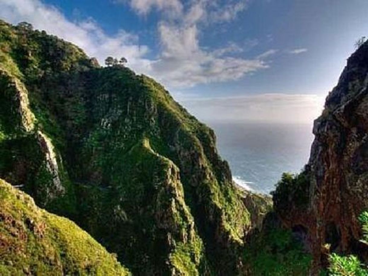 Lugar MADEIRA ISLAND, Laurishouse