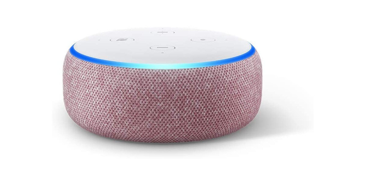 Electronic Echo Dot