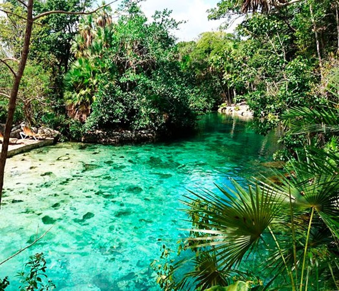 Place Cenote Yax-kin