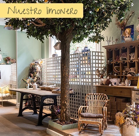 Lugar Mi Limonero Kids