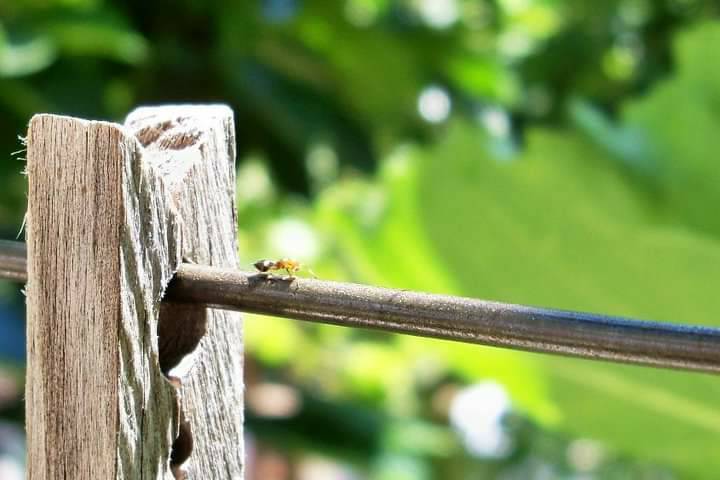 Social Detalhes