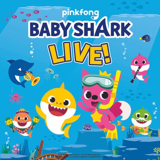 Baby Shark Live