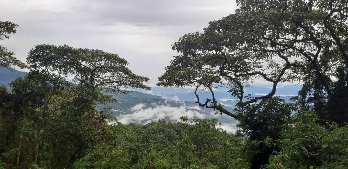 Parques Nacionales Naturales