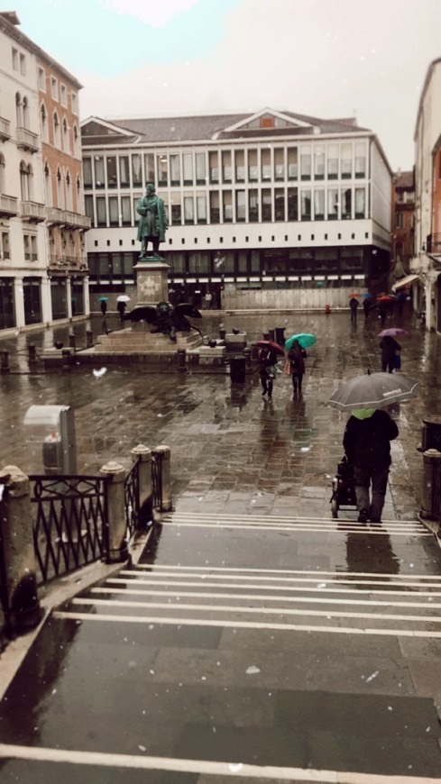 Place Venecia