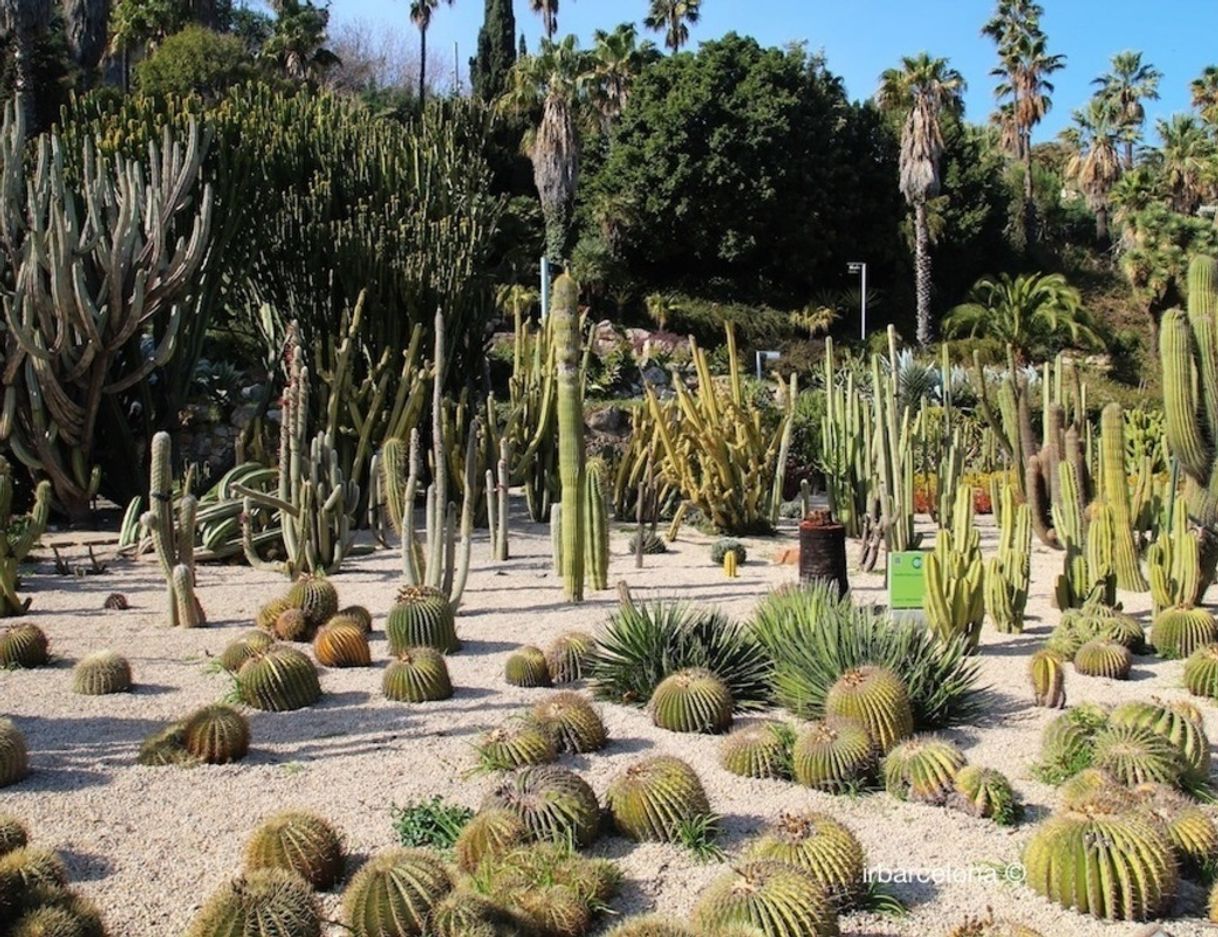 Lugar Jardines de Mossen Costa i Llobera