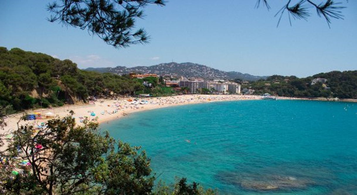 Place Platja de Fenals