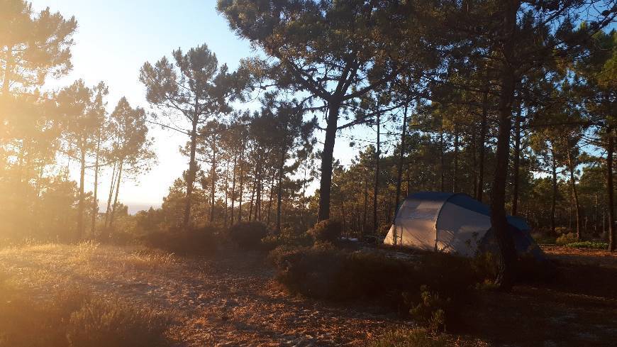 Lugar Camping Praia da Galé