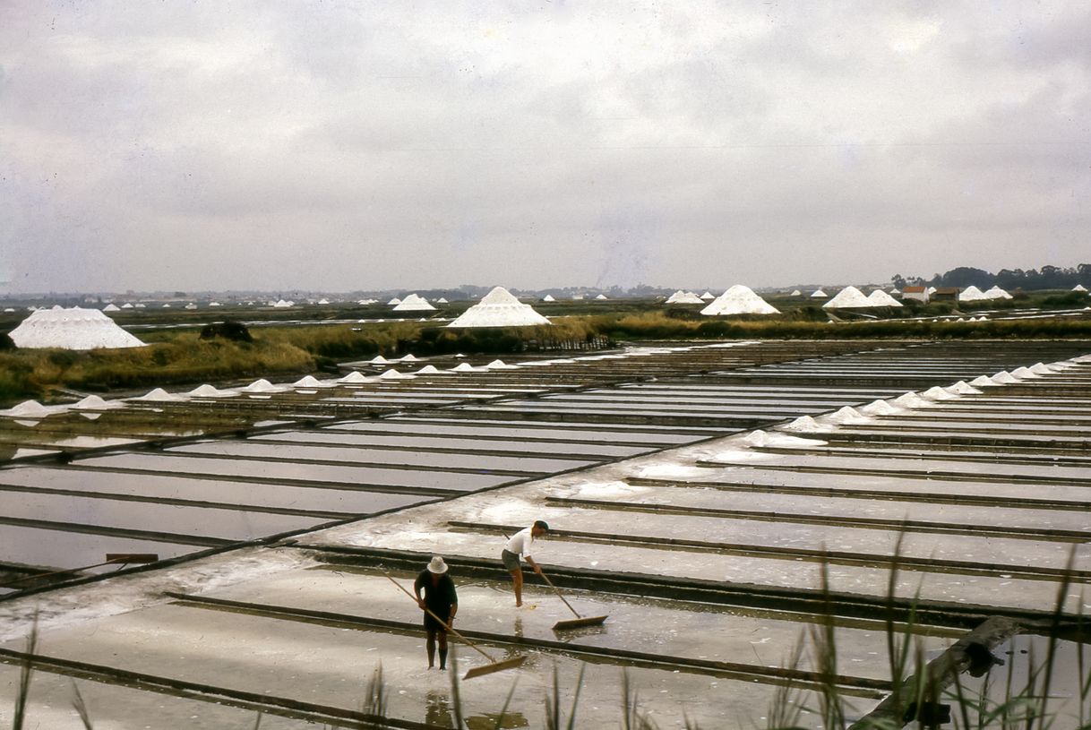 Lugar Salinas de Aveiro