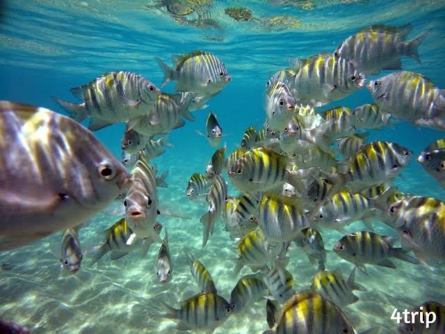 Lugar Arraial do Cabo