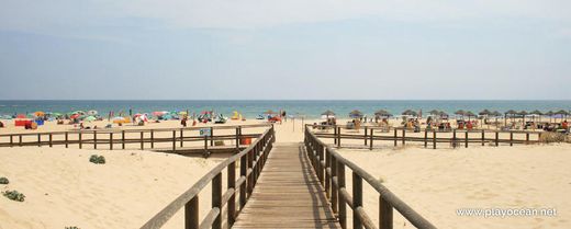 Praia Alagoa