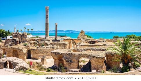 Lugares Ruines de Carthage