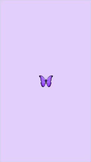 Wallpaper 🦋