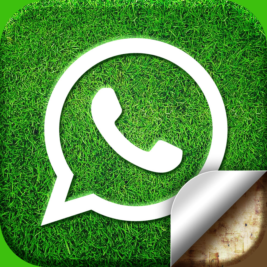 App WhatsApp Messenger