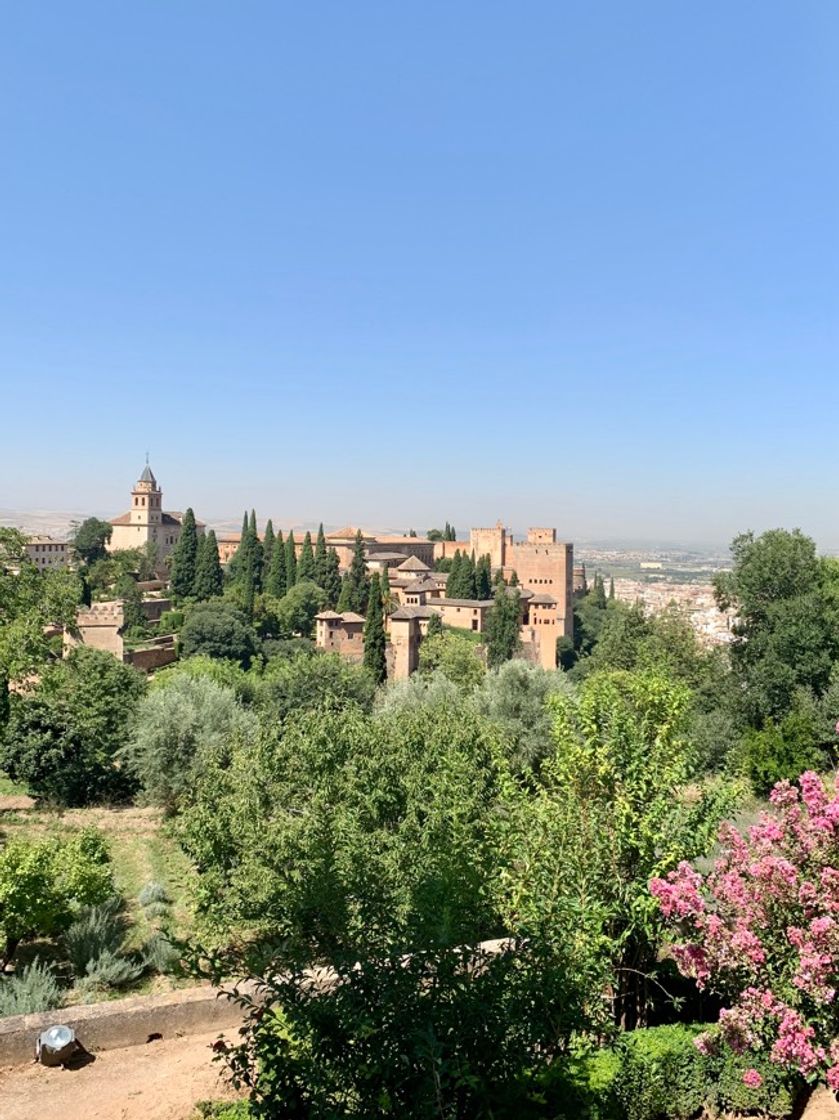 Lugar Visita guiada Alhambra