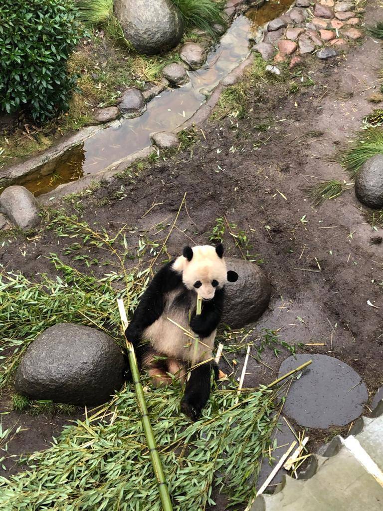 Lugar Zoológico de Copenhague