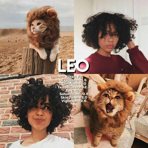 Leo 💫 💛