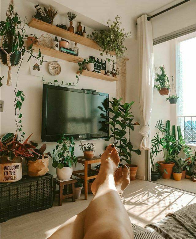 Fashion Os benefícios de ter plantas dentro de casa 🌱