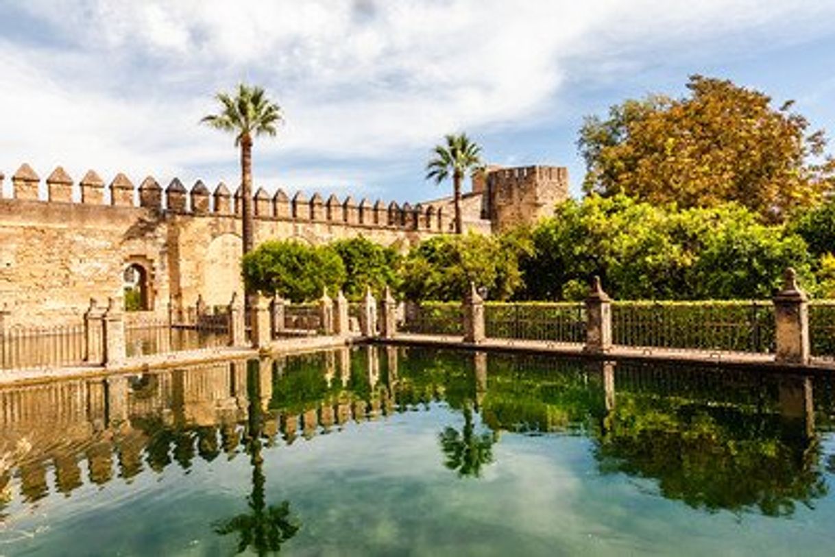 Lugar Alcázar de los Reyes Cristianos