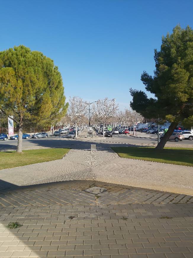 Universidad de Castilla-La Mancha Campus de Albacete
