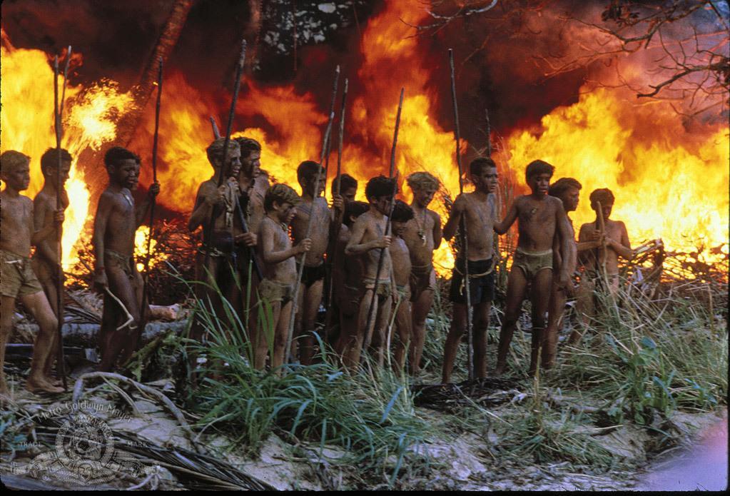 Lord of the flies