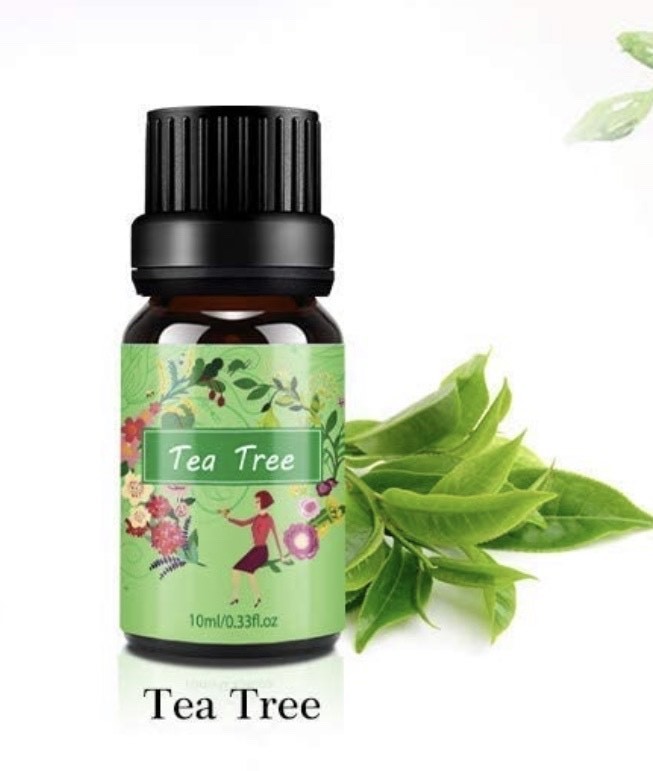 Moda Aceite Árbol de Té 