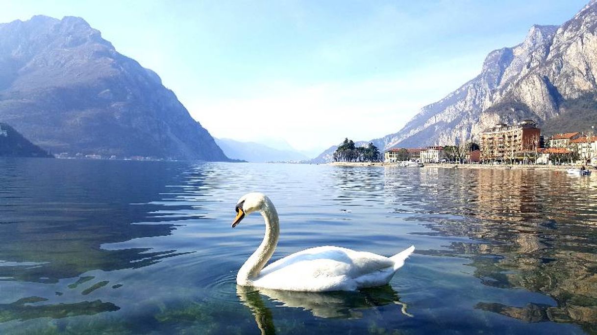 Place Lago di Lecco