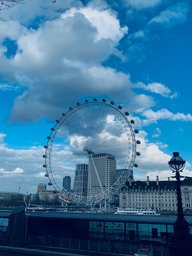 Place London Eye