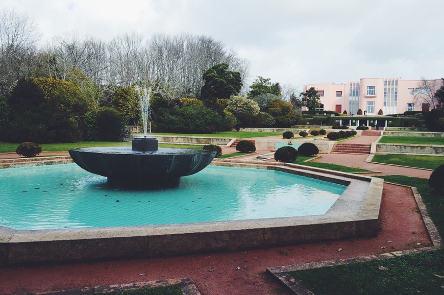 Lugar Serralves (Museu)