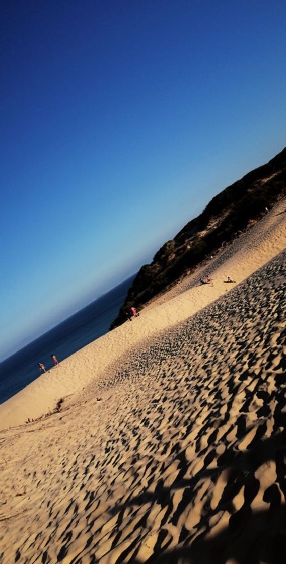 Lugar Playa de Bolonia