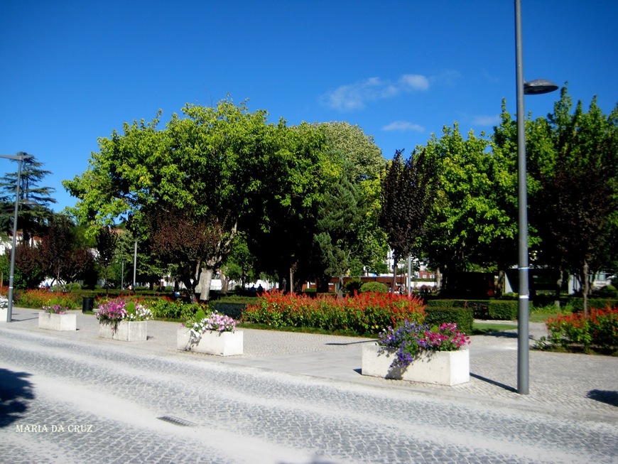 Place Jardim Luís de Camões