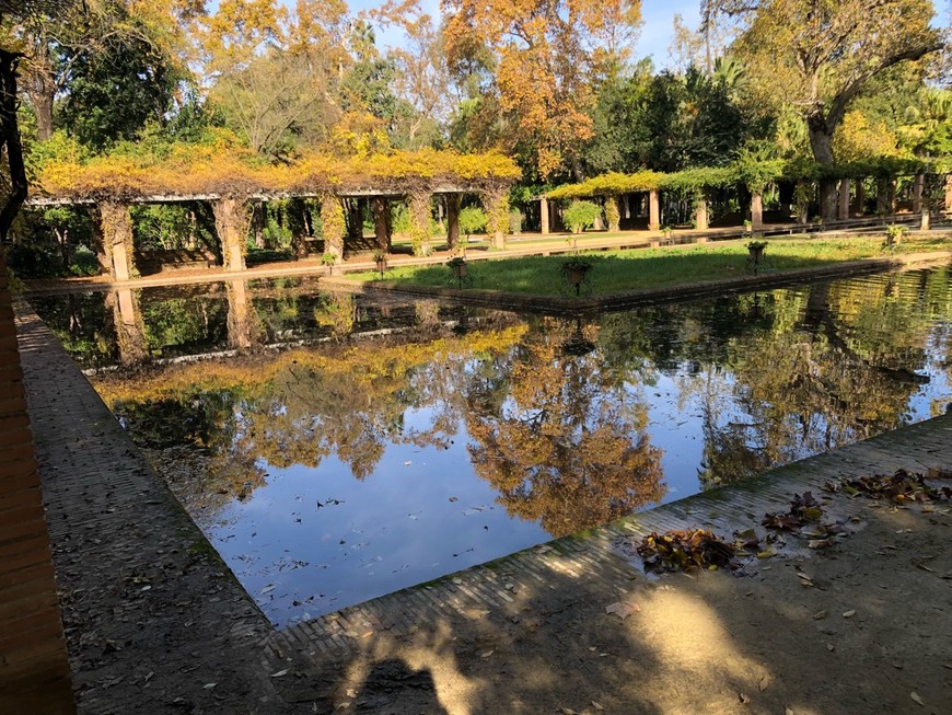 Place Parque de María Luisa