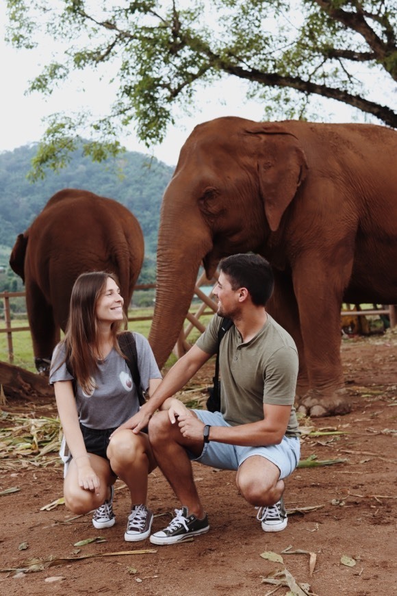 Elefanth Nature Park (Chiang Mai)