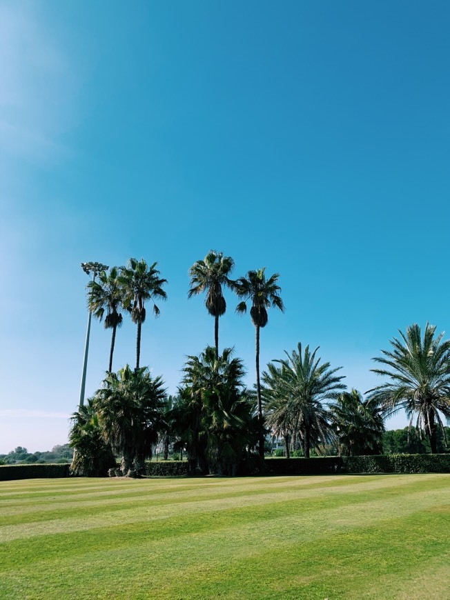 Lugar Costa Ballena Ocean Golf Club