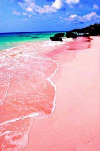 Pink Sands Beach