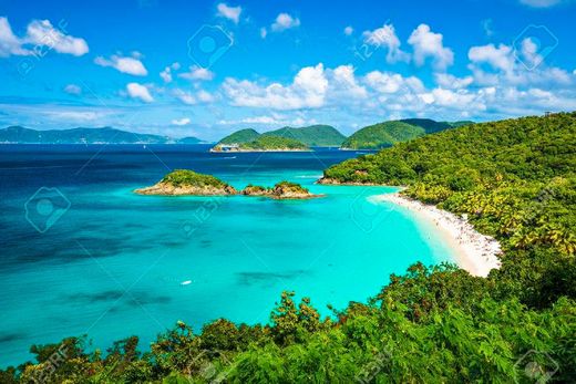 Trunk Bay