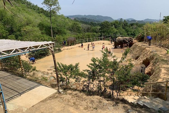 Lugar Elephant Jungle Sanctuary Phuket Camp 1