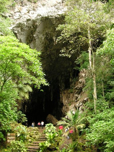 Parque Nacional El Guácharo
