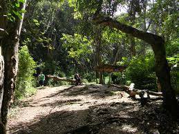 Lugar Parque Nacional El Ávila