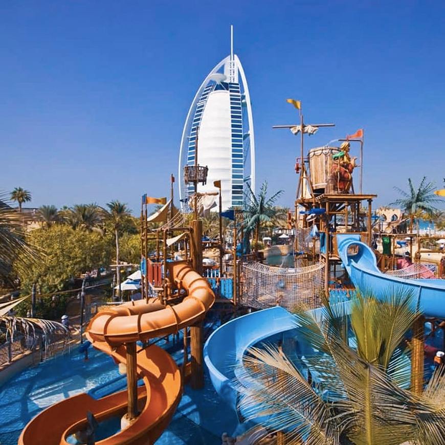 Place Wild Wadi Waterpark