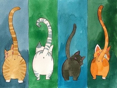Gatinhos