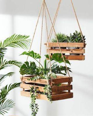 Fashion Plantas na decoração de interiores