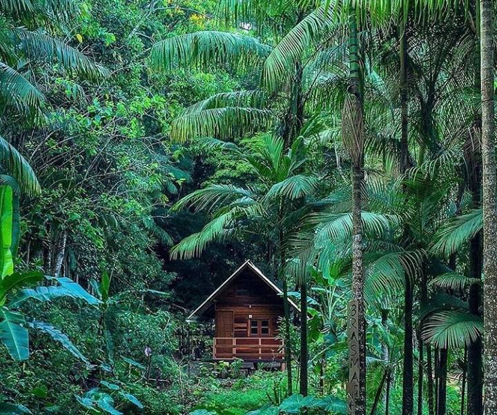 Moda Lugar bom para fazer um meditação 🍃♥️