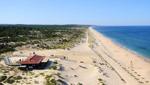 Lugar Comporta