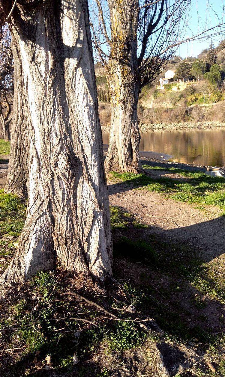 Lugar Parque Dr. José Gama