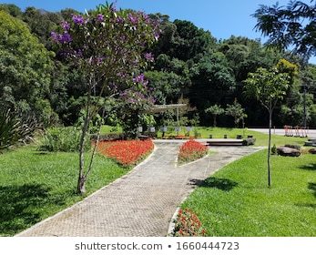 Parque Barigui (Curitiba) - 2020 All You Need to Know BEFORE ...